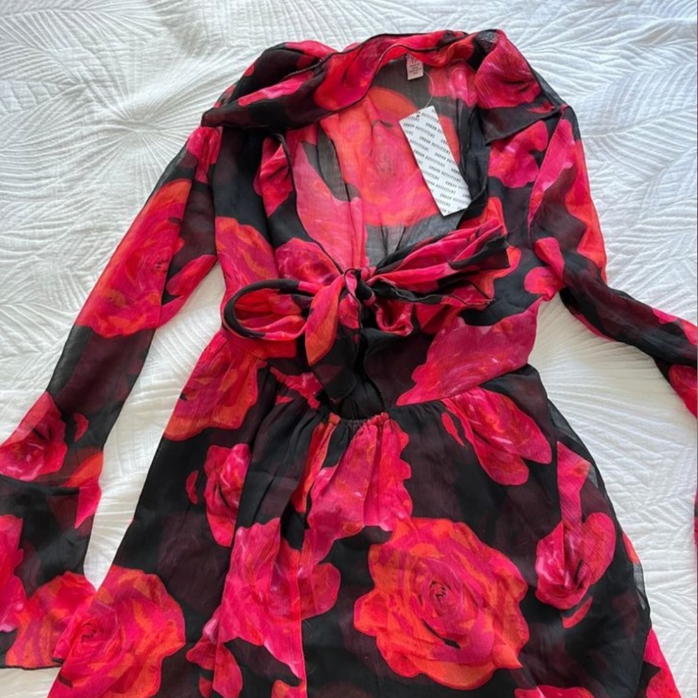 Beautiful NWT Urban Outfitters Rose Dress